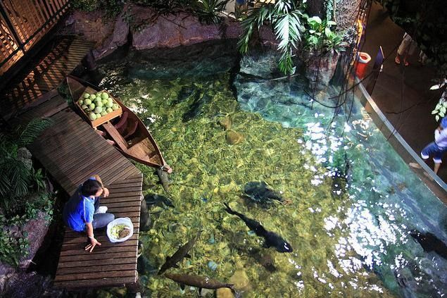   . Siam Ocean World (17 )