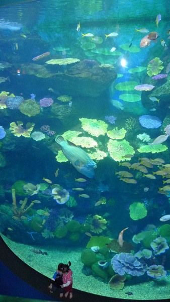   . Siam Ocean World (17 )