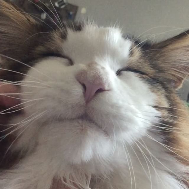  -    - (9 )