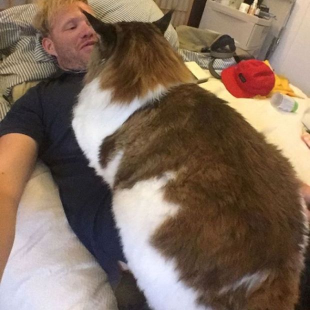  -    - (9 )