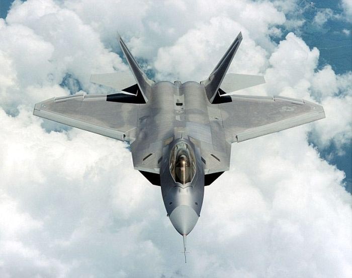      F-22 Raptor (5 )
