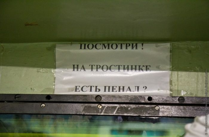        - -252 (25 )