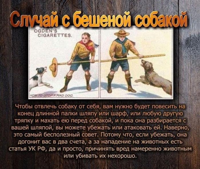  ,    ,    (11 )