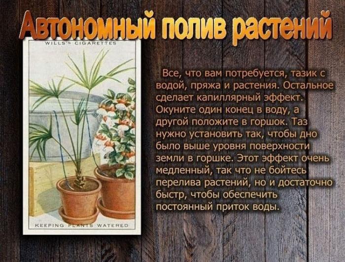  ,    ,    (11 )