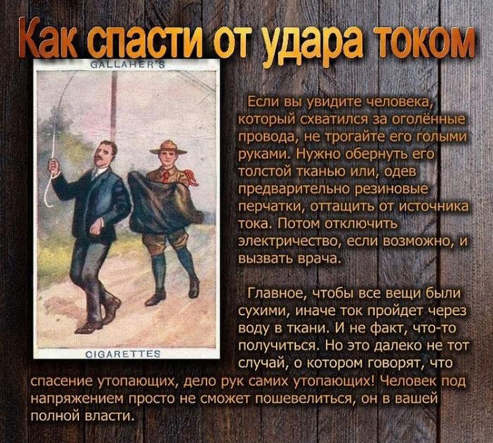  ,    ,    (11 )