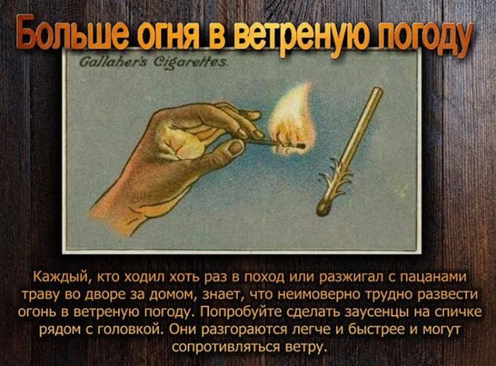  ,    ,    (11 )