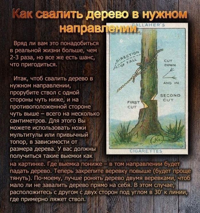  ,    ,    (11 )
