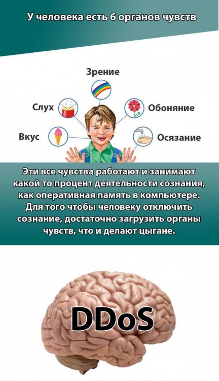     (6 )