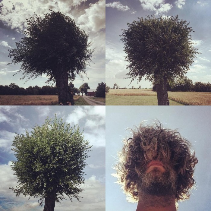  ,    (14 )