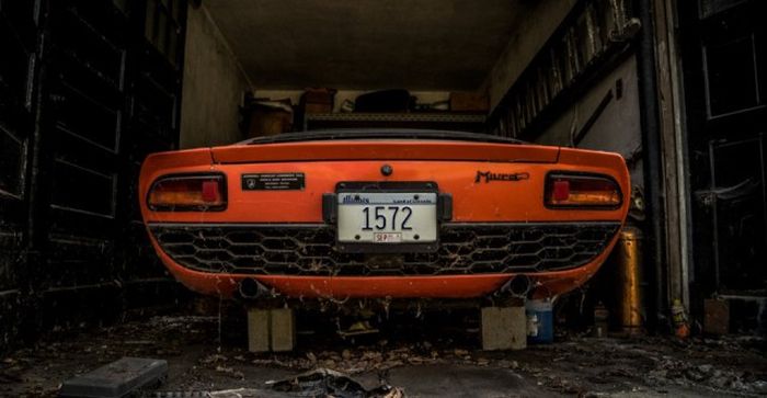   Lamborghini  28    (28 )