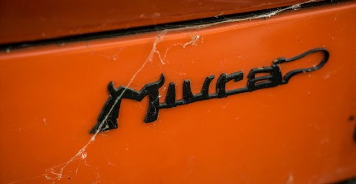   Lamborghini  28    (28 )