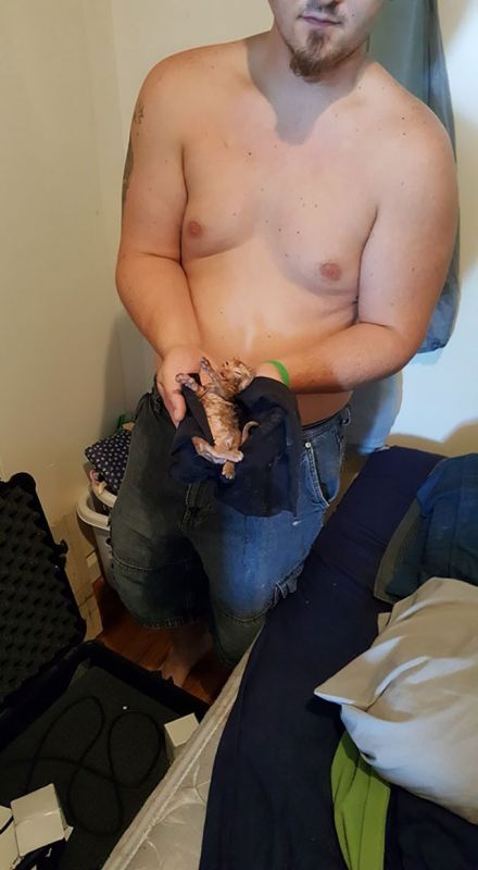  ,    (6 )