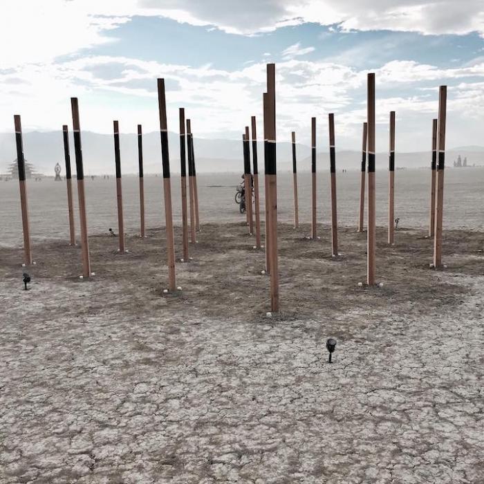   -  Burning Man 2016 (16 )