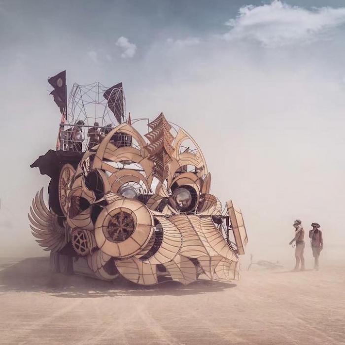   -  Burning Man 2016 (16 )