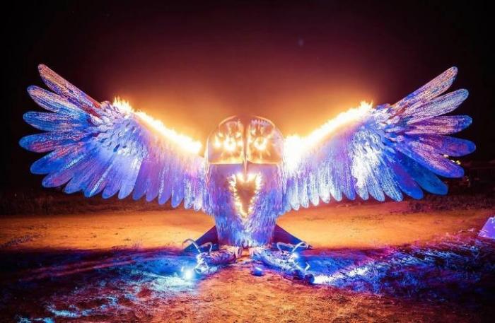   -  Burning Man 2016 (16 )