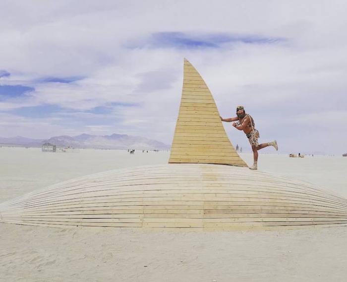   -  Burning Man 2016 (16 )