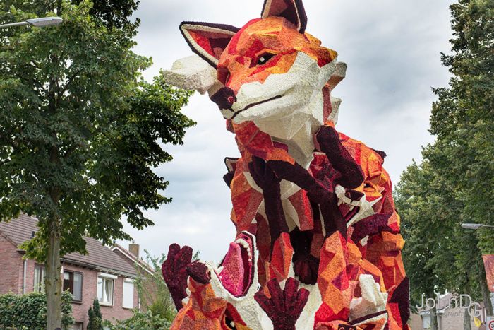   Corso Zundert   (15 )