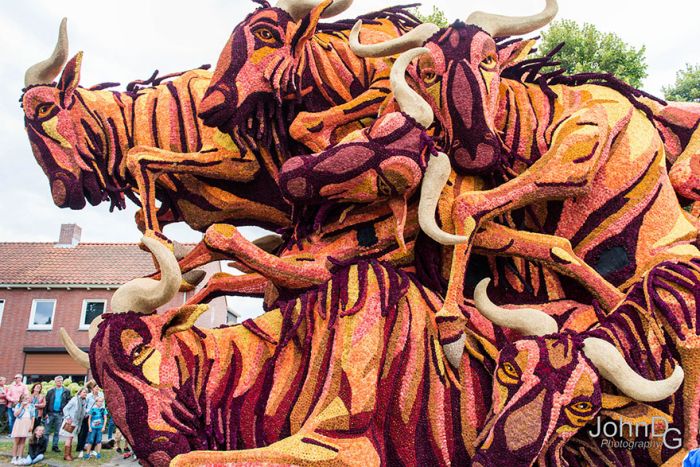   Corso Zundert   (15 )