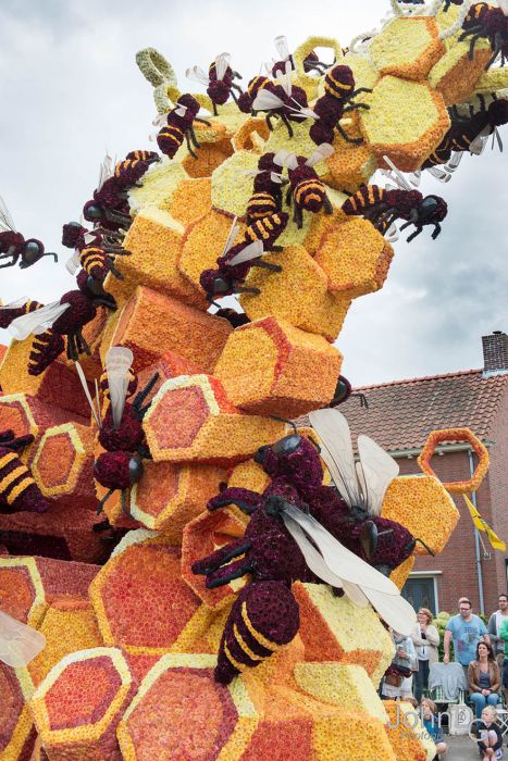   Corso Zundert   (15 )