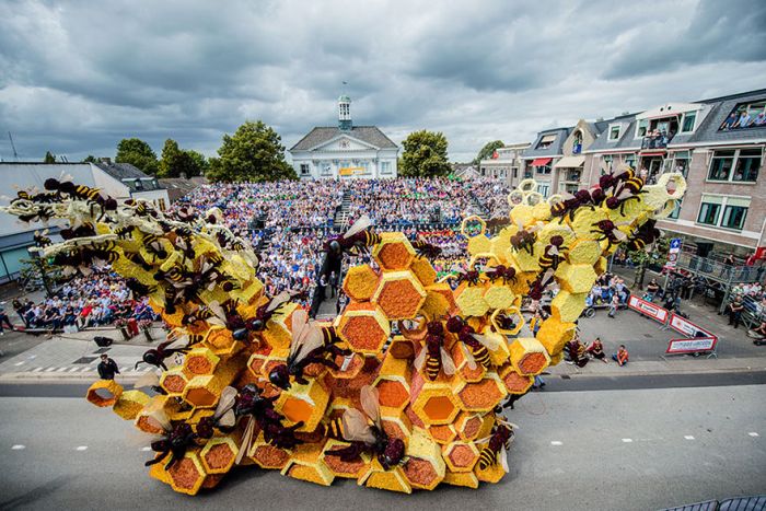   Corso Zundert   (15 )