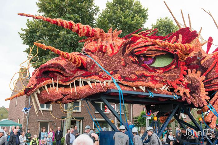   Corso Zundert   (15 )