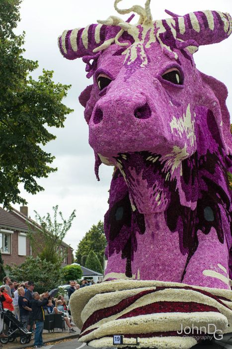   Corso Zundert   (15 )