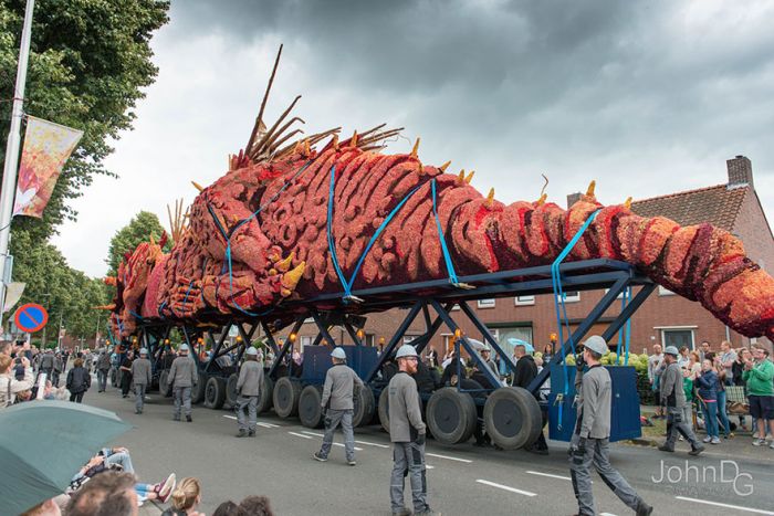   Corso Zundert   (15 )