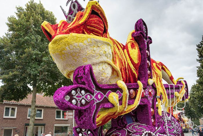   Corso Zundert   (15 )