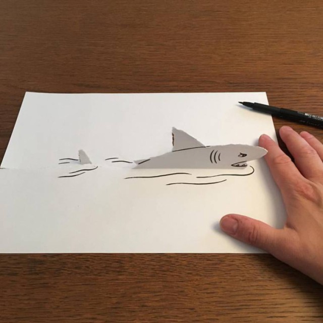  3D-    (24 )