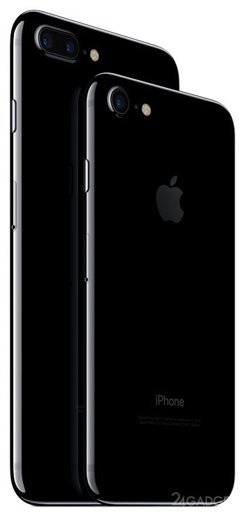 iPhone 7  iPhone 7 Plus  ,     (41 )