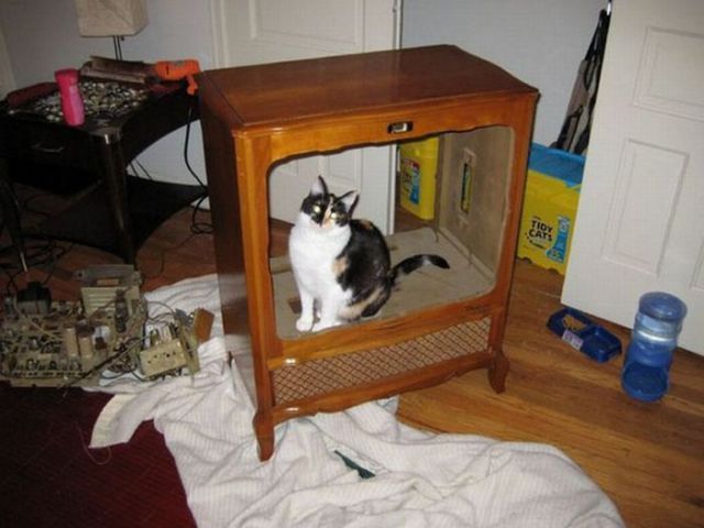    (15 )