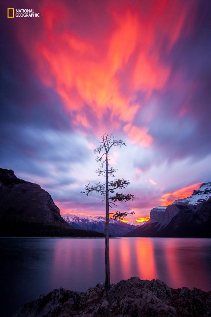     National Geographic 2016 (18 )
