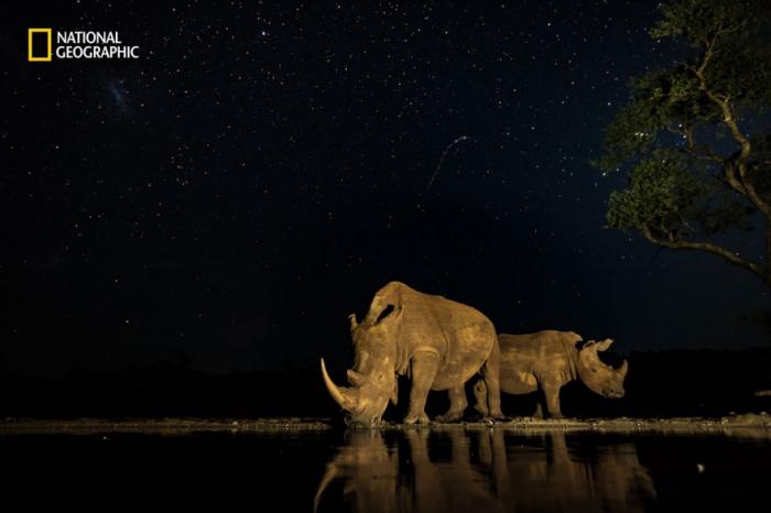     National Geographic 2016 (18 )