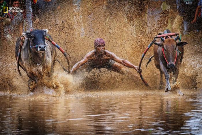     National Geographic 2016 (18 )