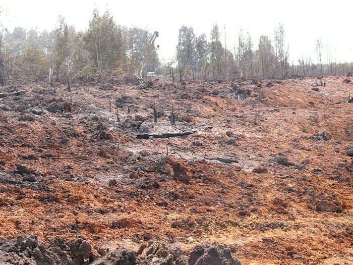 Последствия разрыва трубы на магистральном газопроводе (4 фото) Последствия разрыва трубы на магистральном газопроводе (4 фото)