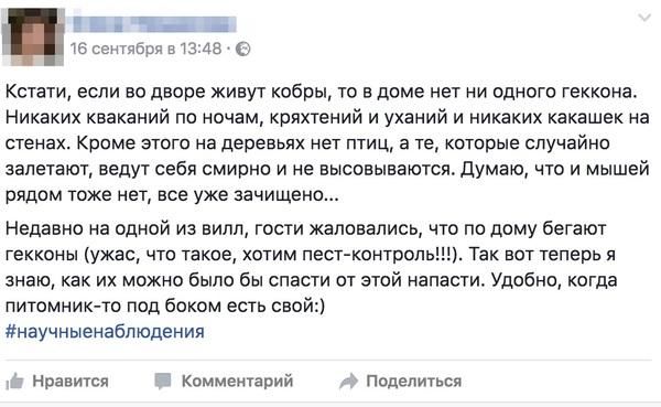 Особенности быта в Таиланде (15 фото) Особенности быта в Таиланде (15 фото)