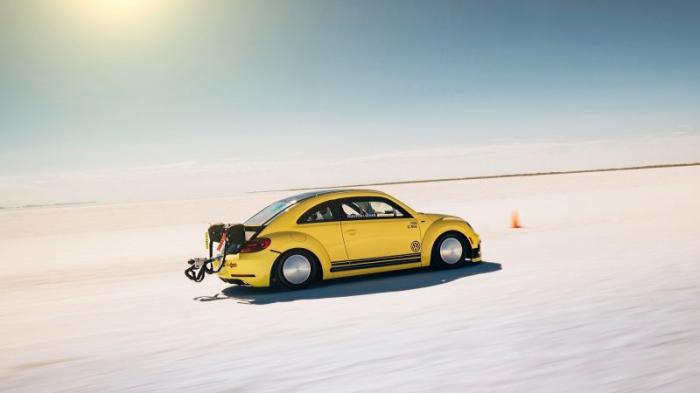   Volkswagen Beetle   (8 )