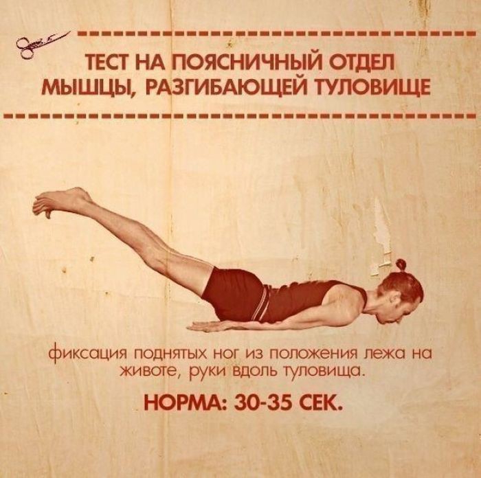 10  ,      (10 )