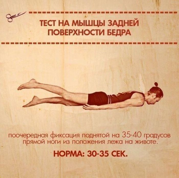 10  ,      (10 )