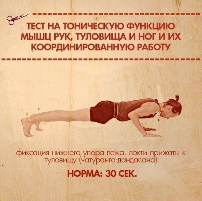 10  ,      (10 )