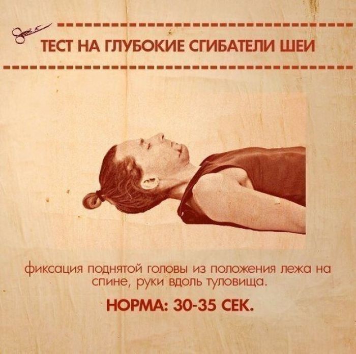 10  ,      (10 )