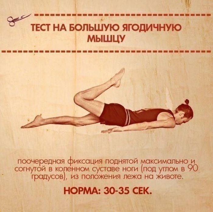 10  ,      (10 )