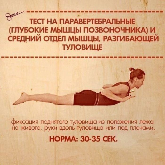 10  ,      (10 )