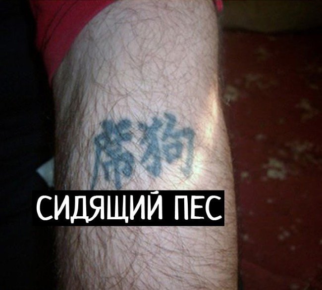  - (16 )
