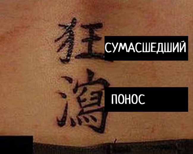  - (16 )