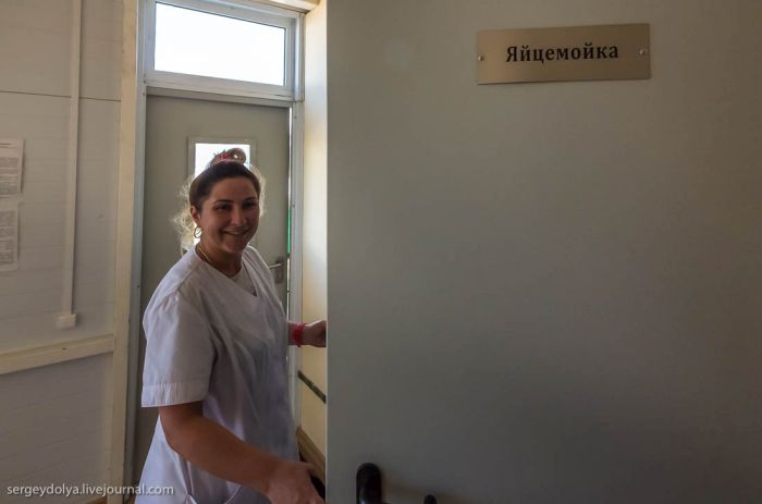 Все что вы хотели знать о строительстве Крымского моста (45 фото) Все что вы хотели знать о строительстве Крымского моста (45 фото)