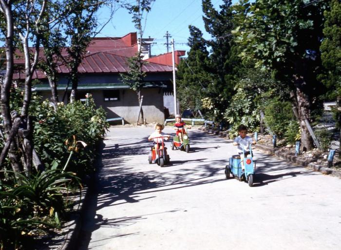  1950-  (52 )