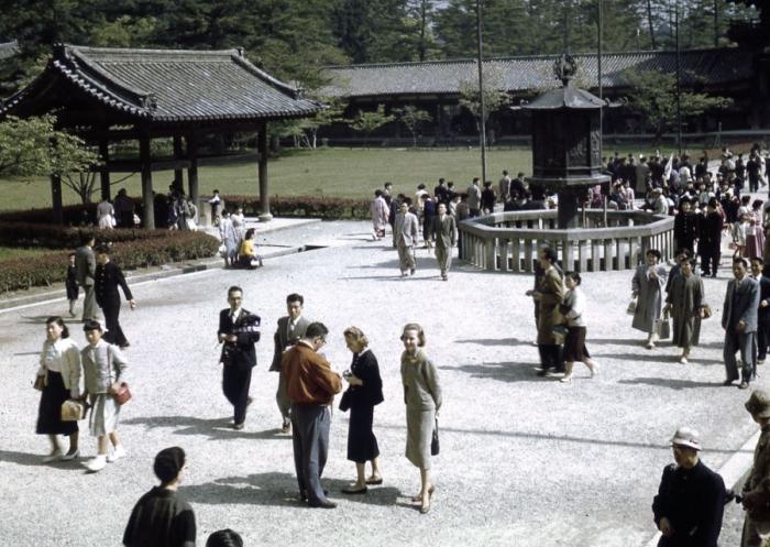  1950-  (52 )
