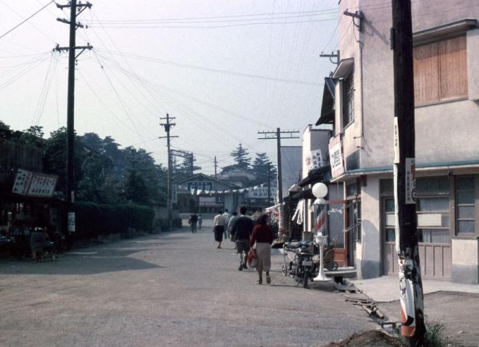  1950-  (52 )