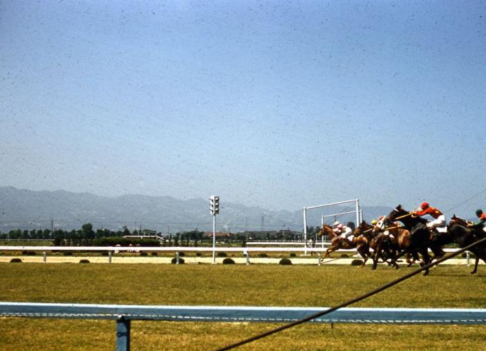  1950-  (52 )